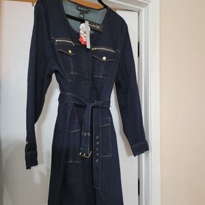 Plus Size Denim Dress